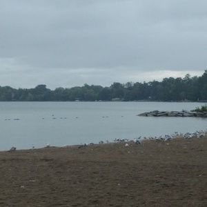 Meet your Posher, Mojgan